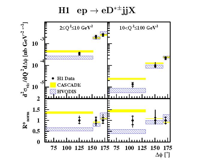 Delta phi distribution