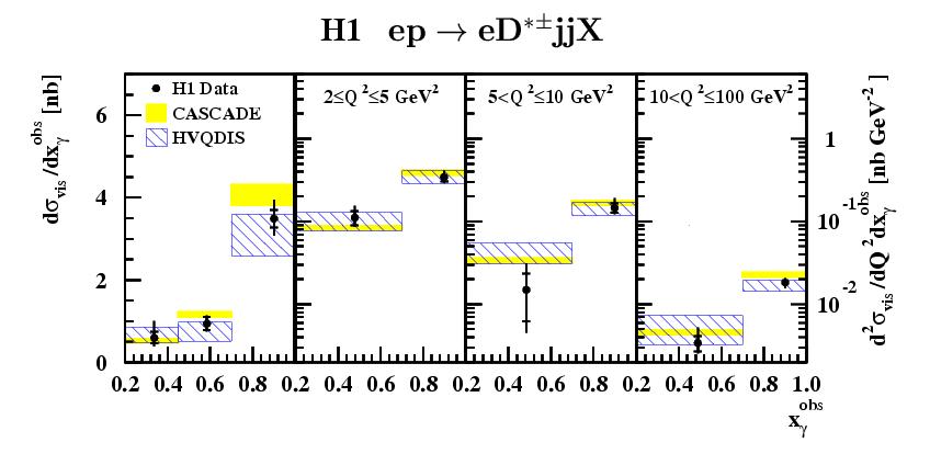 x gamma 
distribution